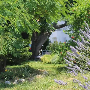 501 - Rab Island Oasis Retreat Supetarska Draga